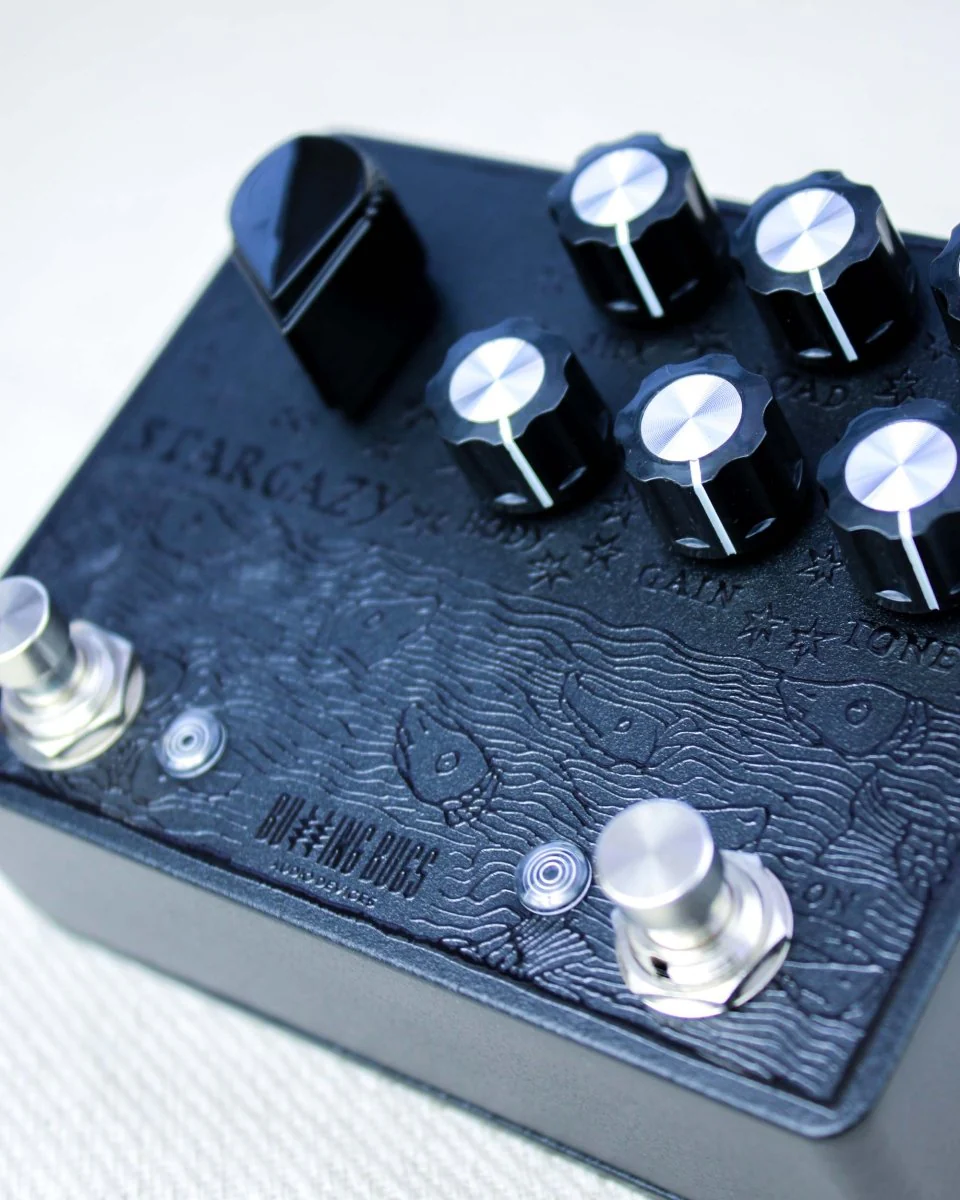 Buzzing Bugs Audio Devices Stargazy Reverb Blackout FX Pedal [Custom Batch #002] - Image 4