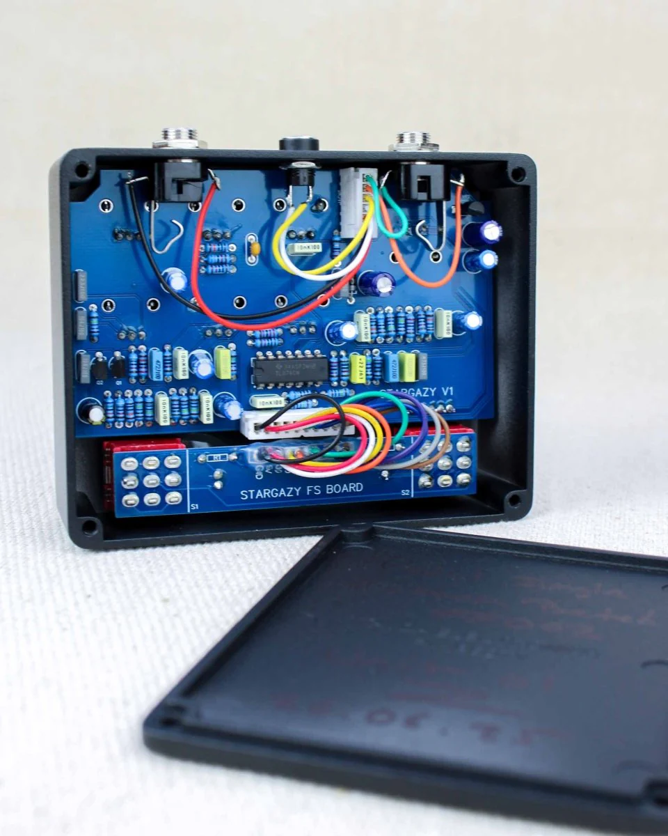 Buzzing Bugs Audio Devices Stargazy Reverb Blackout FX Pedal [Custom Batch #002] - Image 5