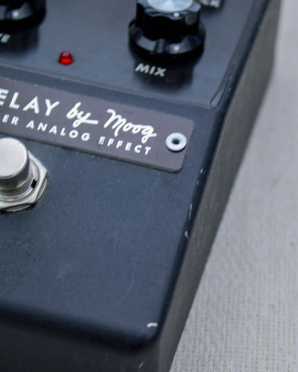Moog Minifooger Delay FX Pedal [Used] - Image 3