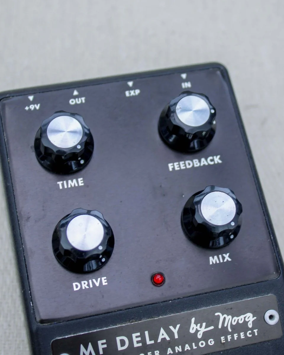 Moog Minifooger Delay FX Pedal [Used] - Image 4