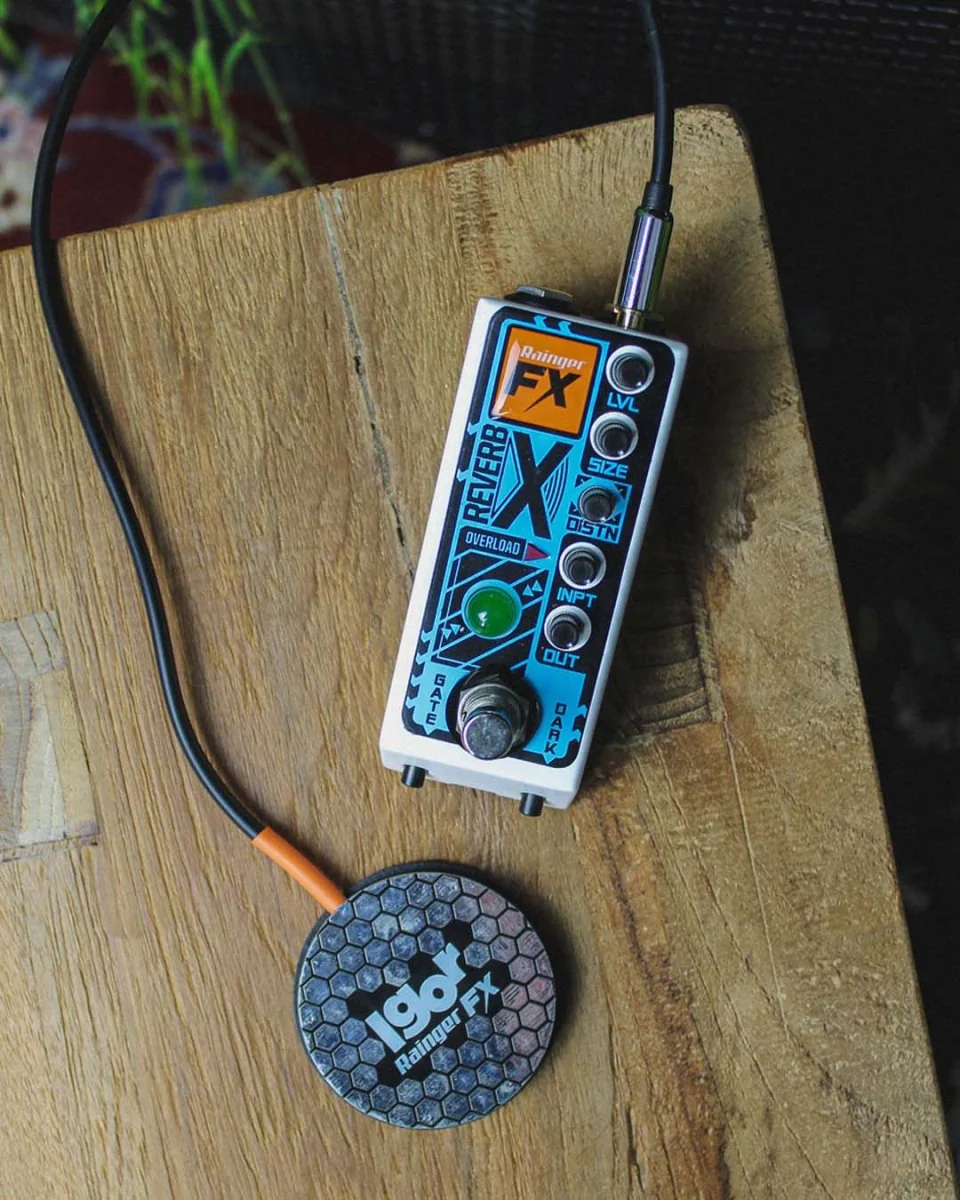 Rainger FX Reverb-X FX Pedal (incl. Igor) - Image 3